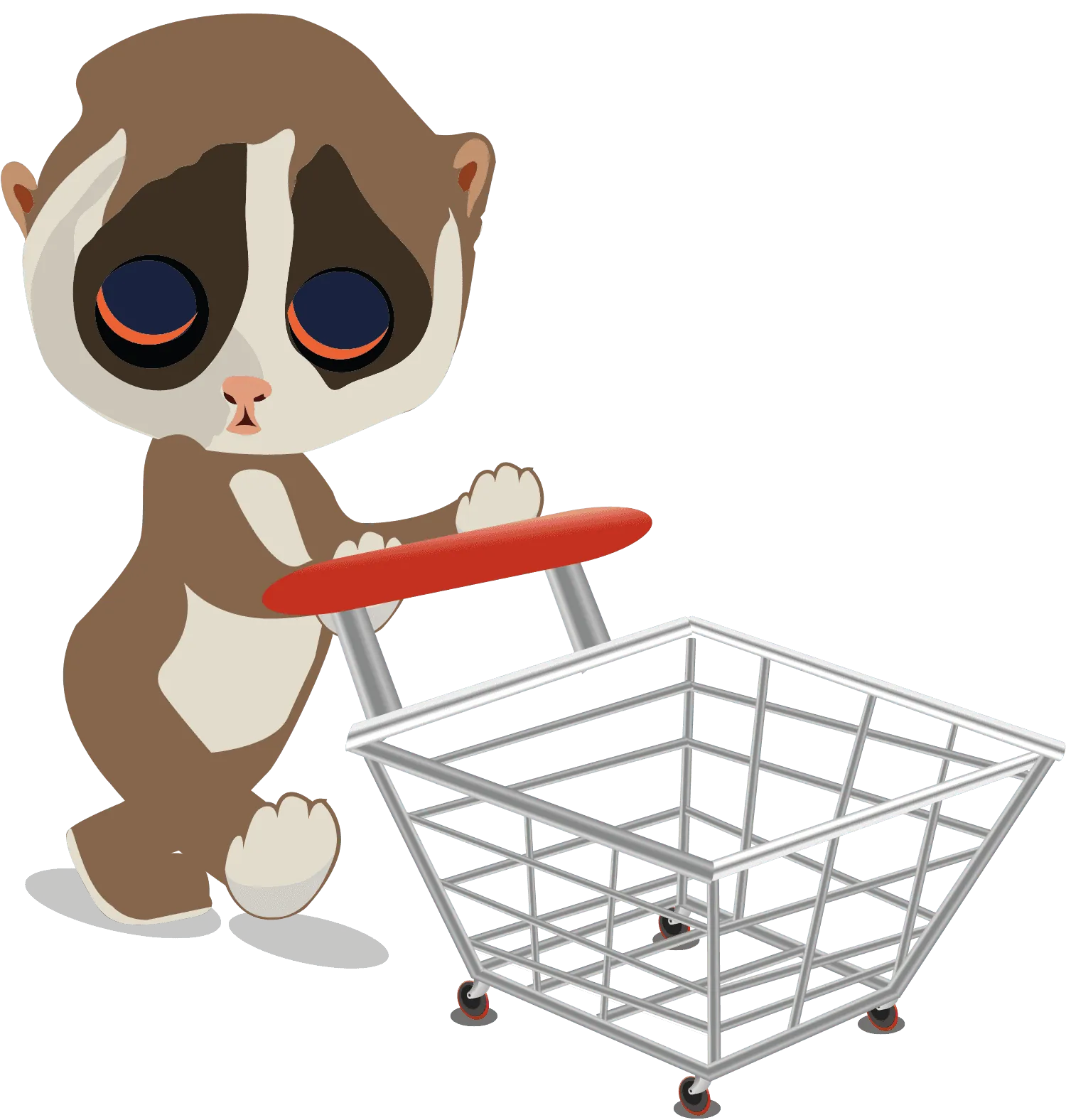 E-commerce Loris