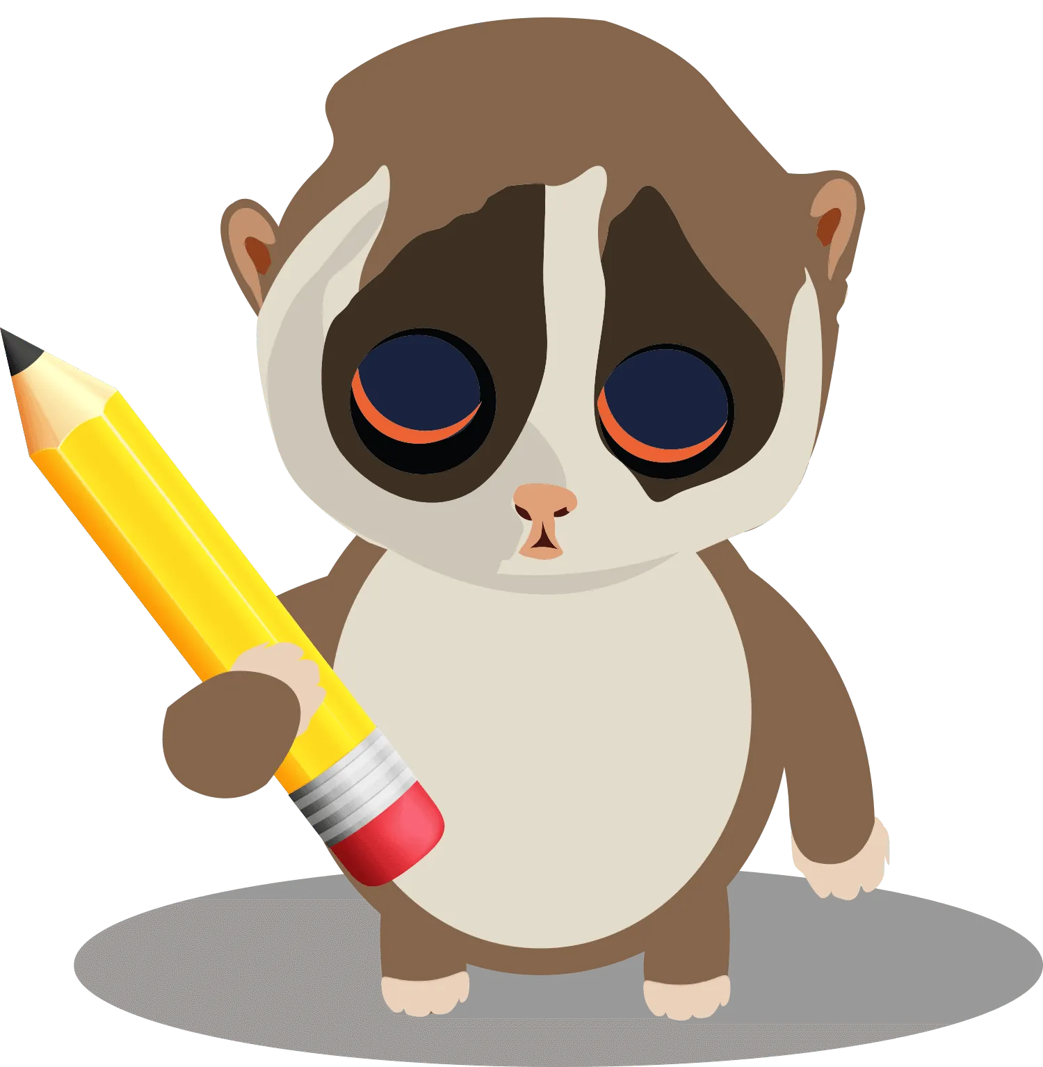 Design Loris